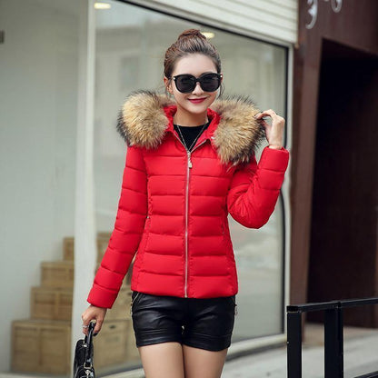 Cheky - Slim cotton padded jacket and down jacket